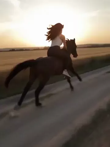 Horseback Glam
